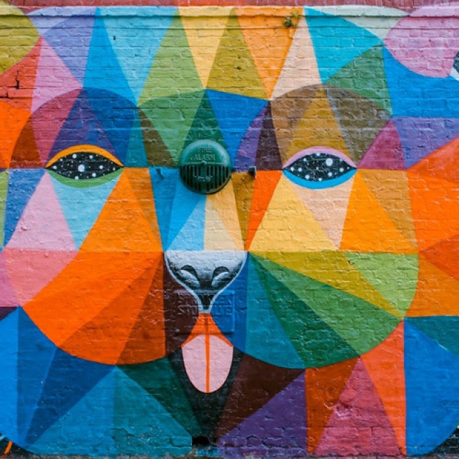 平面設計不必斷捨離,善用「密集構成」將雜亂化為神奇