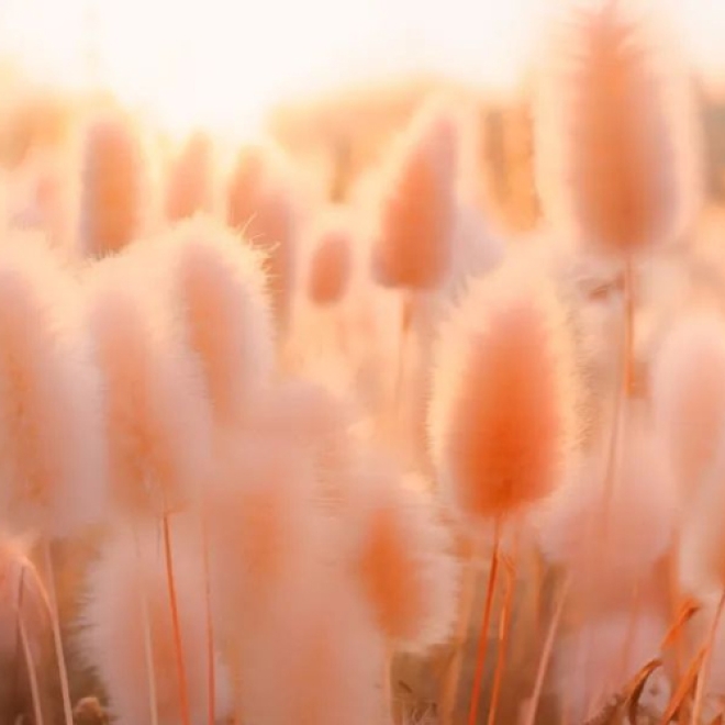 網頁設計預測:2024年最流行的顏色是什麼?