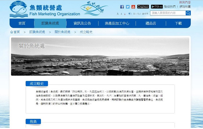 打造本土化藝術:企業如何設計出符合香港市場的網站?